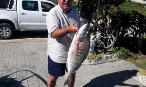 Wanneer om anker te gooi